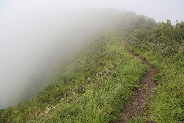 霧で霞む尾根の登山道