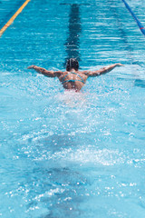 professional swimmer sportswoman butterfly swimming stroke in sportive swimming pool, rear view