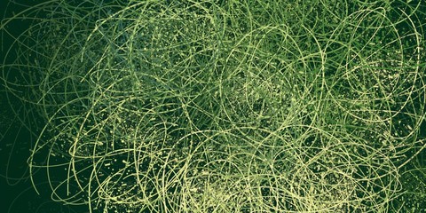 Canvas painting. Colorful background texture. 2d illustration. Texture backdrop. Creative chaos structure element.