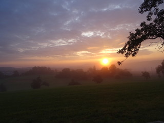 Fototapeta premium sonnenaufgang, baum und schöne landschaft