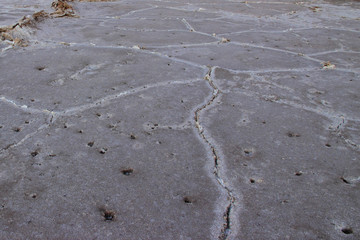 Cracked and parched earth. Close up photography. Soil texture.