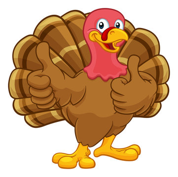 Turkey Thanksgiving or Christmas bird animal cartoon character giving a thumbs up