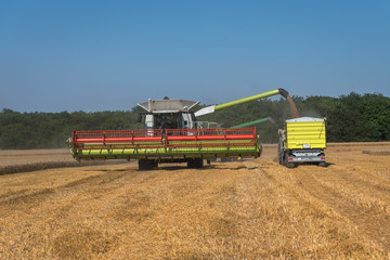 Combine harvester in action on wheat field.