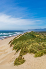 Looking out over sand dunes and the beach towards the ocean, on the Oregon coast