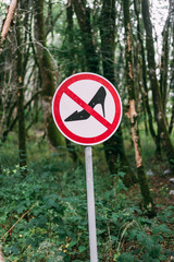 Popular tourist route in Yew-Boxwood Grove Big Circle in Caucasian biosphere reserve, Khosta district of Sochi, Russia.