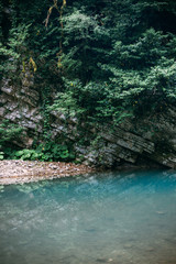 Naklejka premium Blue mountain river in Popular tourist route in Yew-Boxwood Grove in Caucasian biosphere reserve, Khosta district of Sochi, Russia