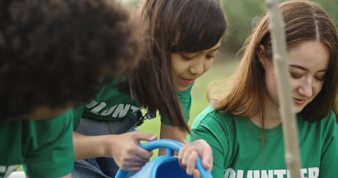 Three volunteers of different age planting tree in park. Young activists participating in tree-planting campaign, saving ecology - slow motion 4k