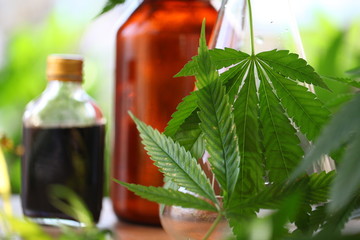 Medical marijuana cannabis cbd oil