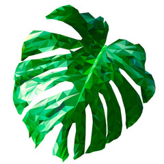Tropical leaf isolated on a white background. Triangle style. Polygonal vector illustration. EPS 10.