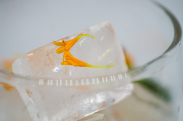 Frozen flower in water in an ice cube, in a transparent glass on a white background close-up.