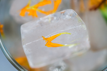 Frozen flower in water in an ice cube, in a transparent glass on a white background close-up.