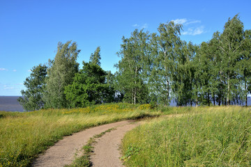 Summer landscape green field and dirt road with trees on the background of the lake and blue sky. Lake Ilmen Novgorod region.