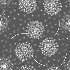 Seamless pattern with flowers Dandelion. Vector illustration