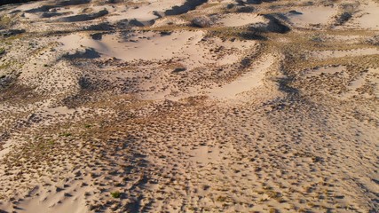 tracks in the sand