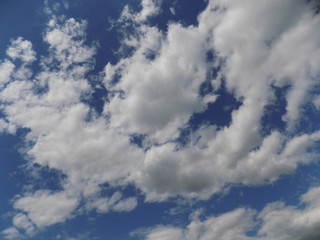 Fototapeta premium High summer sky with fluffy white clouds