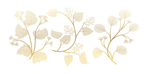 Set branches with leaves isolated. Vector illustration. EPS 10.