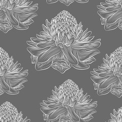 Beautiful seamless pattern with flowers Ginger . Vector illustration. 