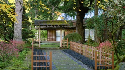 wooden bridge in the park