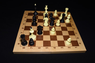 Chessboard and the chessmen for skill theme