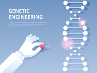 Genetic engineering. Gene editing tool CRISPR CAS9