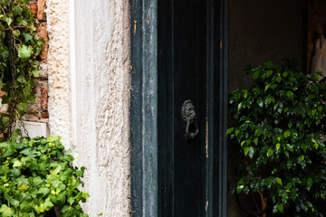Old beautiful door in the Venetian style