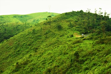 Meadow at Gavi, a remote villege in Periyar Tiger Reserve. Pathanamthitta district in Kerala, India