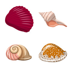 Isolated object of seashell and mollusk logo. Collection of seashell and seafood stock symbol for web.