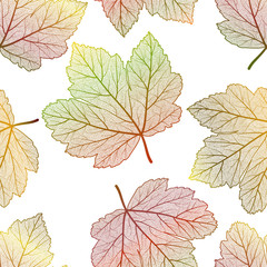 Seamless pattern with  maple leaves. Vector illustration. 