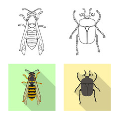 Isolated object of insect and fly sign. Set of insect and element vector icon for stock.