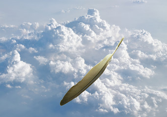 Fototapeta na wymiar gray bird feather floating on cloud in bright sky background