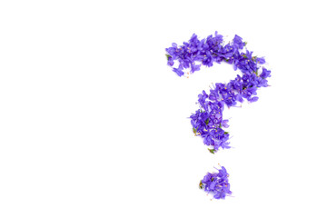 On a white background there is a question mark made of small blue flowers. Macro. Selective focus. Copy space.
