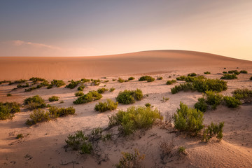 Fototapeta na wymiar Beautiful Sunrise in Dammam Saudi Arabia Desert