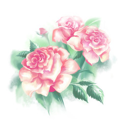 Light pink flowers roses and green leaves on a light background. Digital illustration.