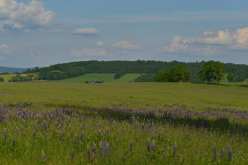 Böhmisches Mittelgebirge bei Decin