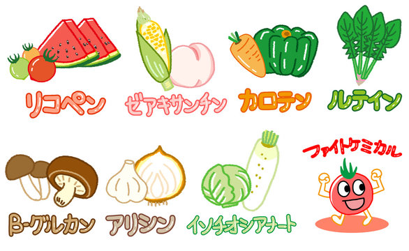 ファイトケミカル」の写真素材 | 5,165件の無料イラスト画像 | Adobe Stock