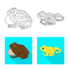 Vector design of wildlife and bog logo. Collection of wildlife and reptile stock vector illustration.
