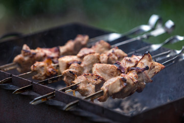 Cooking shashlik on the mangal in nature. Selective focus.