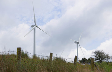 wind turbines in flied