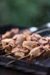 Cooking shashlik on the mangal in nature. Selective focus.
