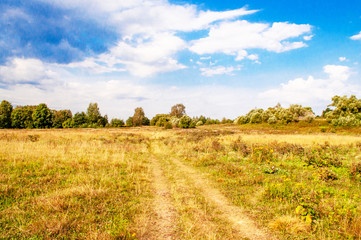 Fototapeta na wymiar field road with burnt grass and blue sky