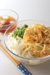 ごぼうの天ぷら入りのざるうどん
