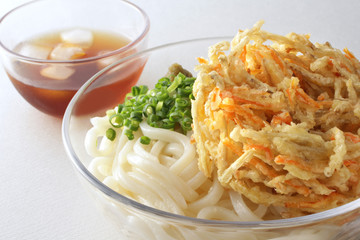 ごぼうの天ぷら入りのざるうどん