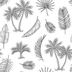 Fototapeta na wymiar Palm tree seamless background. Tropical coconut palm, exotic island. Vintage hand drawing abstract floral summer vector print pattern. Pattern seamless tree palm leaf background illustration graphic