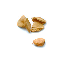 Apricot kernels on white background
