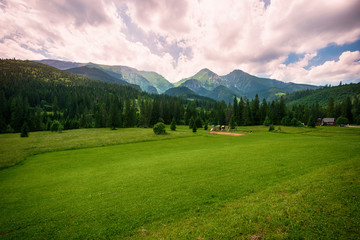 Fototapeta na wymiar View of green landscape with mountains.