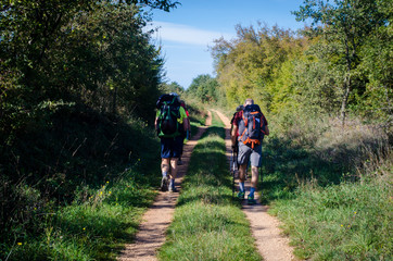 Obraz premium Camminando lungo la ciclovia Parenzana in Istria