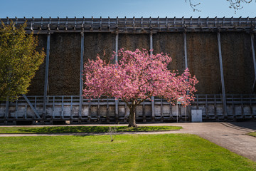 Thorn house, Salt extraction building in Bad Dürrenberg, Germany