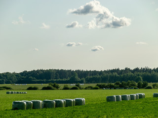 Straw bale on the field 
