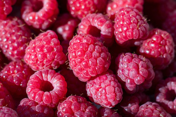 freshly picked raspberry