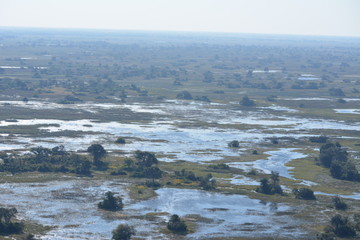 BOTSUANA(Safari ,Delta del Okawango,rio Zambece)